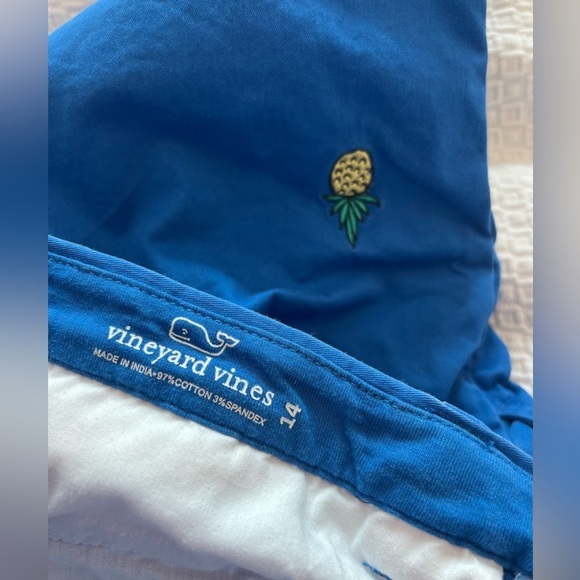 Vineyard Vines Boys Embroidered Pineapples Shorts - Picture 11 of 12